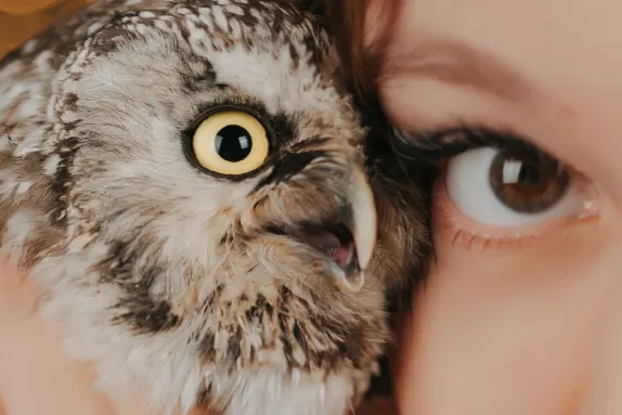 Casino MR Fortune Stuðningur